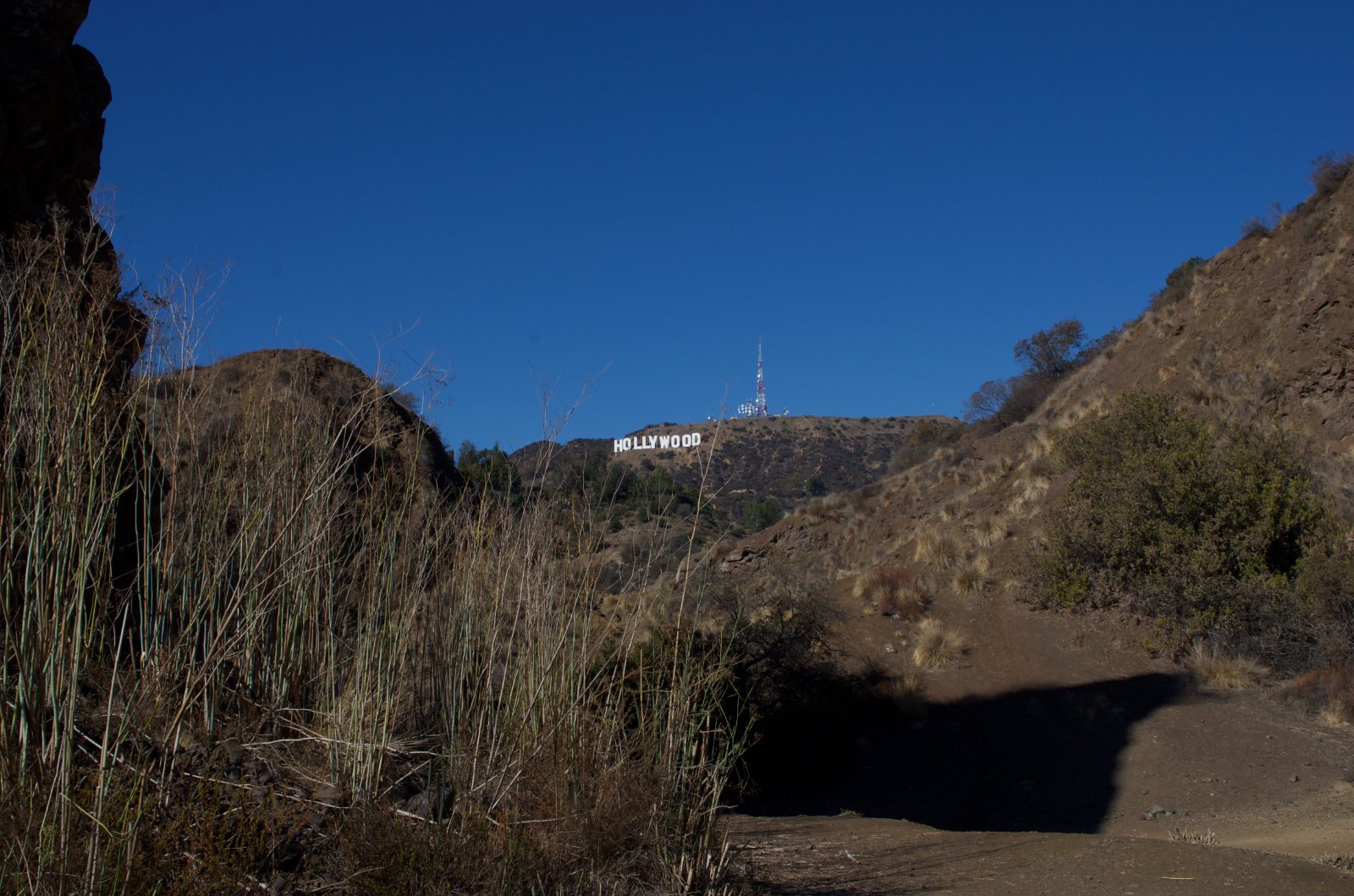 Hollywood Sign017